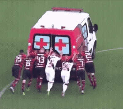 Green Frog In Purple Bow Tie Looking GIF