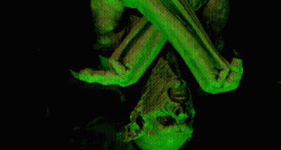 Green Glowing Skeleton With Skull Background GIF