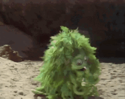 Green Hairy Monster GIF