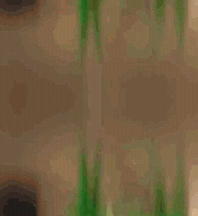 Green Horse With WhatsApp Logo GIF