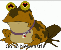 Green Hypnotoad Go To Newcastle GIF