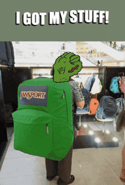 Green JanSport Backpack Carried By Person GIF