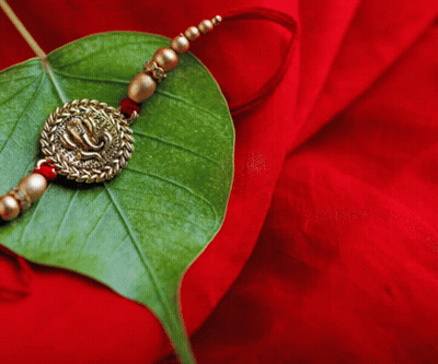 Green Leaf With Bracelet On Red Background Digital Bharati Logo GIF