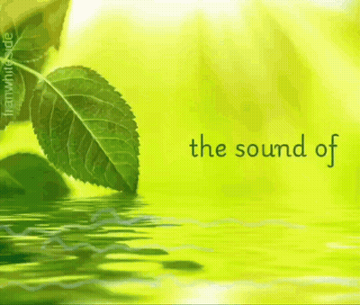 Green Leaf With The Sound Of Silence GIF