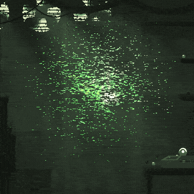 Green Light Coming Out Of Pond GIF