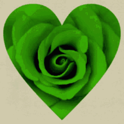 Green Love Heart Rose