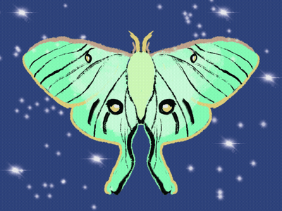 Green Moth GIF