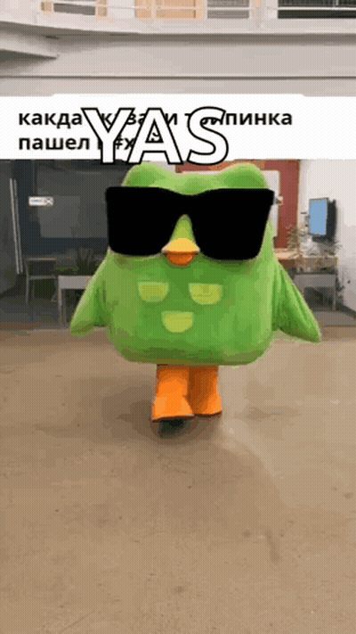 Green Owl Mascot With Sunglasses GIF
