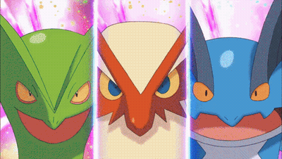 Green Owl Red Owl Blue Frog GIF