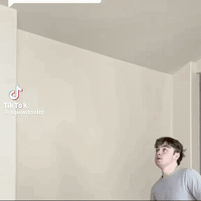 Green Parrot Flying GIF