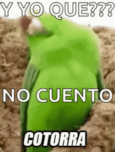 Green Parrot Sitting On Dirt Meme GIF