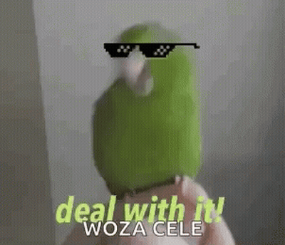 Green Parrot Wearing Sunglasses Deal With It Woza Cele GIF
