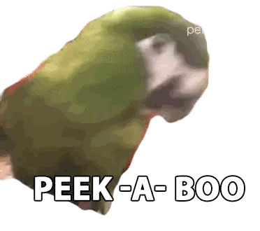 Green Parrot With Peek-A-Boo Sticker