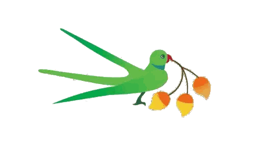 Green Parrot With Red Beak On Branch Sticker