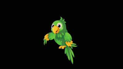 Green Parrot With Yellow Beak Flying GIF