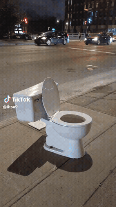 Green Portable Toilet With Pete's Potties Sticker GIF