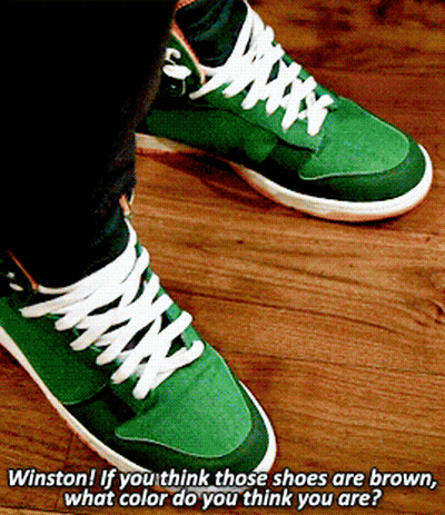 Green Sneakers Winston Saying What Color GIF