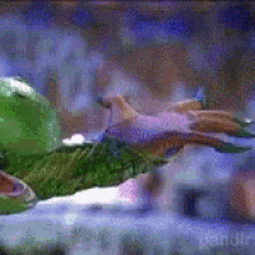 Green Turtle Swimming In Tank GIF