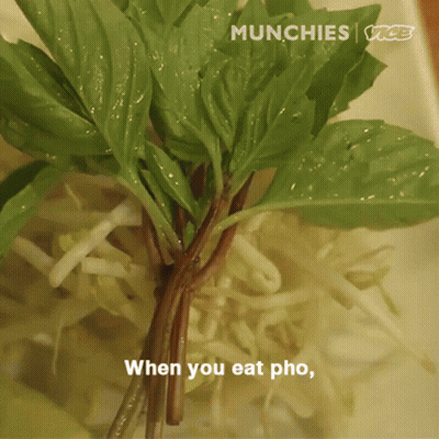 Green Vegetables Saying When You Eat Pho GIF