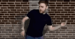 Green Wall Ant Antixx GIF