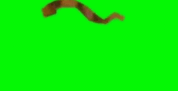 Green Wall John Cena On Green Screen GIF
