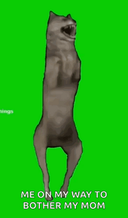Green Wall OMW To My Mom GIF