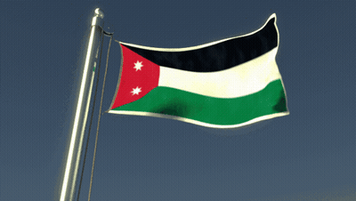 Green White Black Flag With Red Triangle GIF