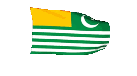 Green White Flag With Yellow Stripe And Crescent Moon Sticker
