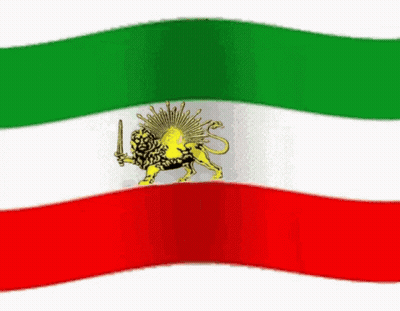 Green White Red Flag With Lion And Sword GIF