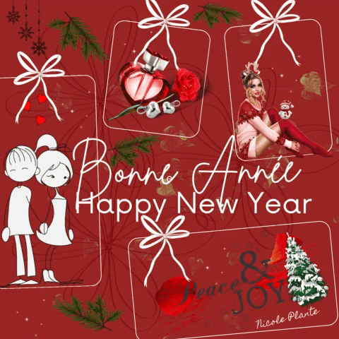 Greeting Card Saying Bonne Annee Happy New Year GIF