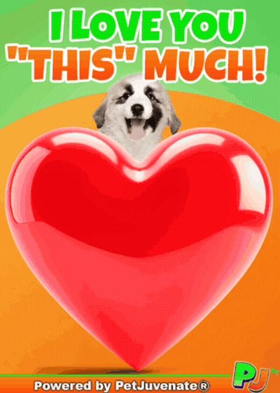 Greeting Card Saying I Love You This Much GIF
