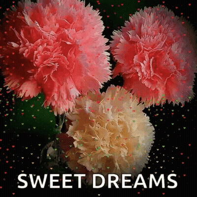 Greeting Card With Flowers Sweet Dreams GIF