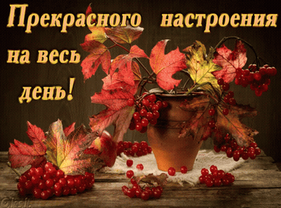 Greeting Card With Potted Plant Berries And Leaves GIF