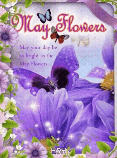 Greeting Card With Purple Flowers And Butterflies GIF