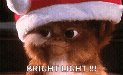 Gremlin In Santa Hat Saying Bright Light GIF