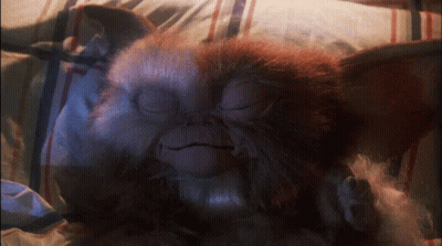 Gremlin Laying On Bed With Eyes Closed GIF