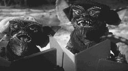 Gremlins Black And White GIF