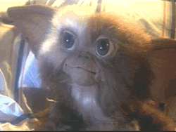 Gremlins Cute Eye Blink GIF