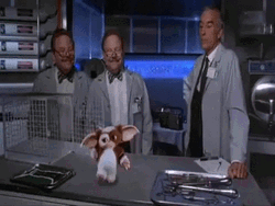 Gremlins Cute Gizmo Dance GIF