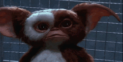 Gremlins Cute Surprised Eyes GIF