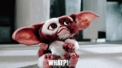Gremlins Cute What Blink GIF