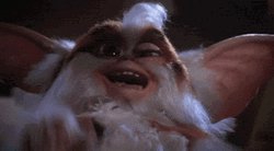 Gremlins Funny Crazy Eyes  GIF