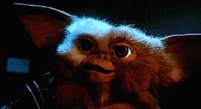 Gremlins Gizmo Close Up GIF