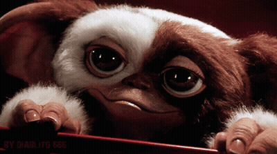Gremlins Gizmo Looking Over Fence