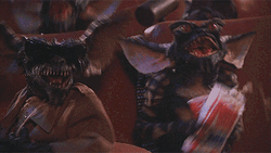 Gremlins Gizmo Movies Shaking GIF
