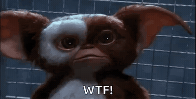 Gremlins Gizmo Saying Wtf GIF