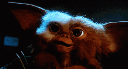 Gremlins Shaking Cute Eyes GIF