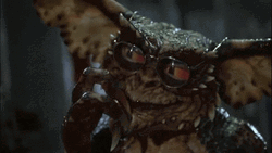 Gremlins Tell Me More GIF