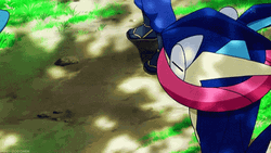 Greninja Talking To Froakie GIF