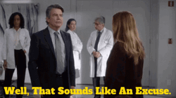 Grey's Anatomy David Hamilton Sounds Like Excuses GIF